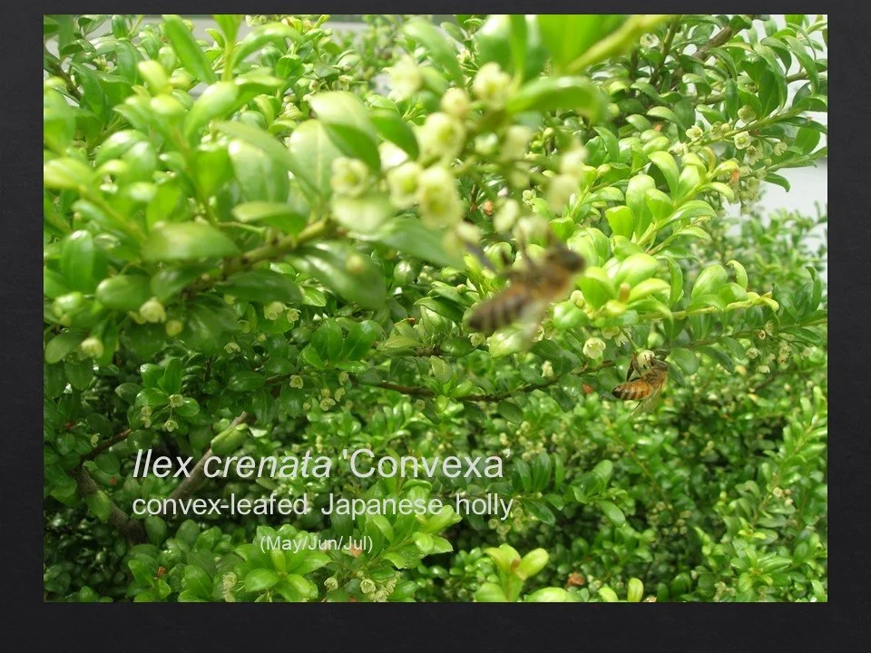 Slide99.JPG