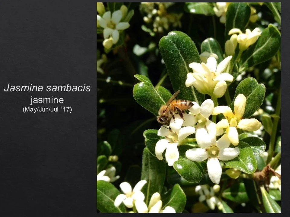 Slide104.JPG