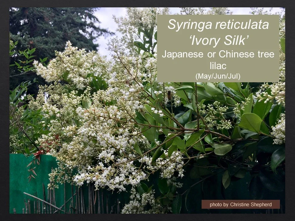 Slide108.JPG