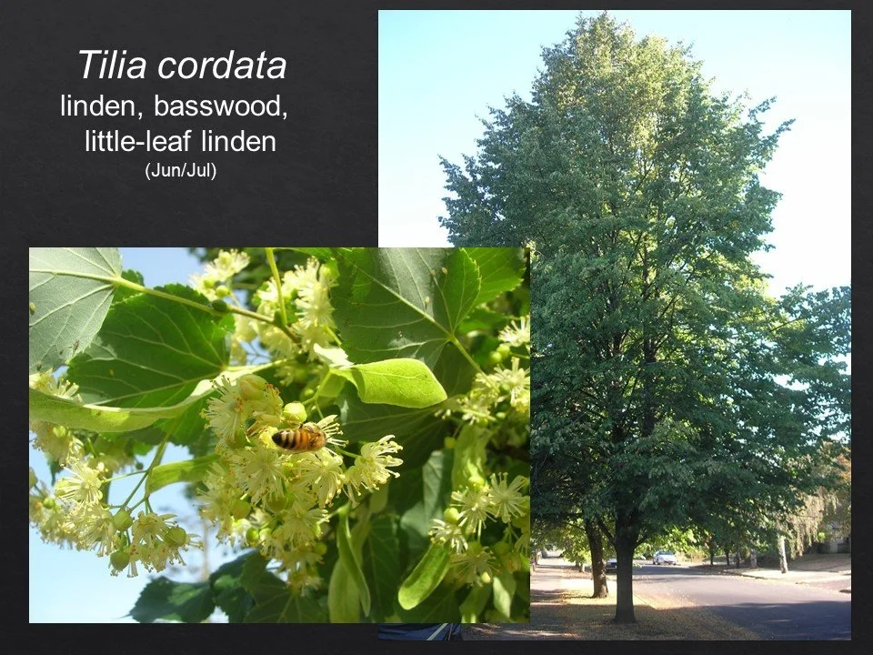 Slide111.JPG