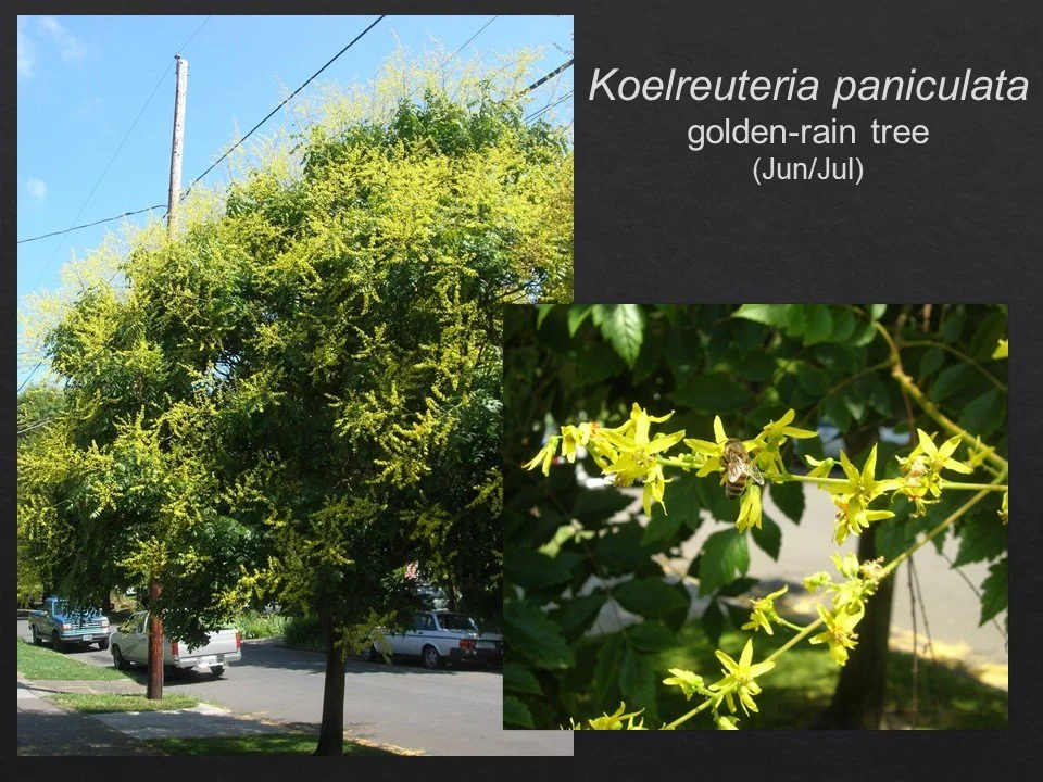 Slide113.JPG