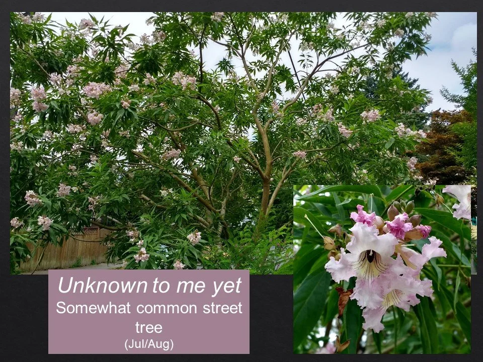 Slide116.JPG