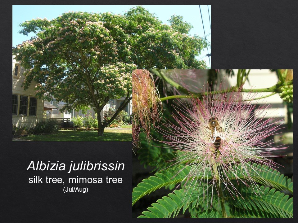 Slide117.JPG