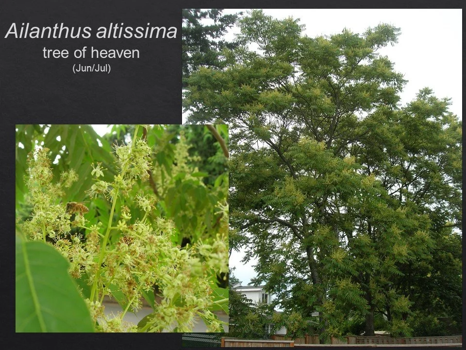 Slide118.JPG