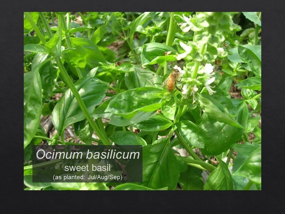 Slide124.JPG