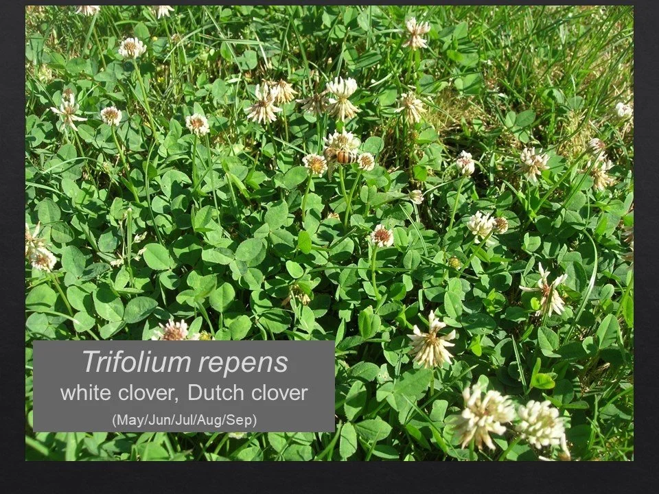 Slide138.JPG