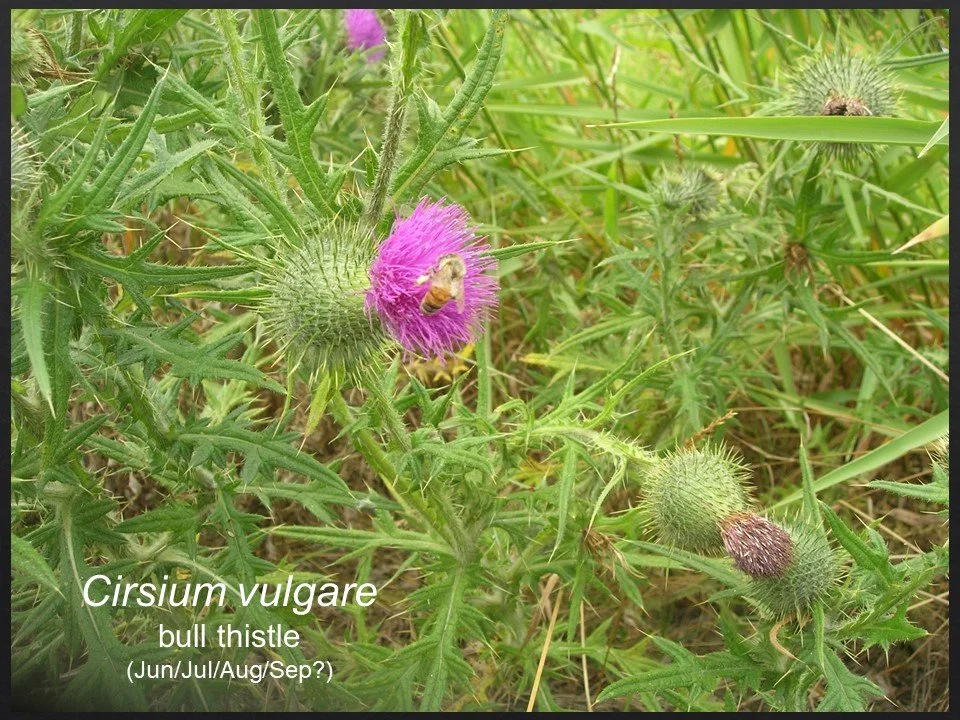 Slide142.JPG