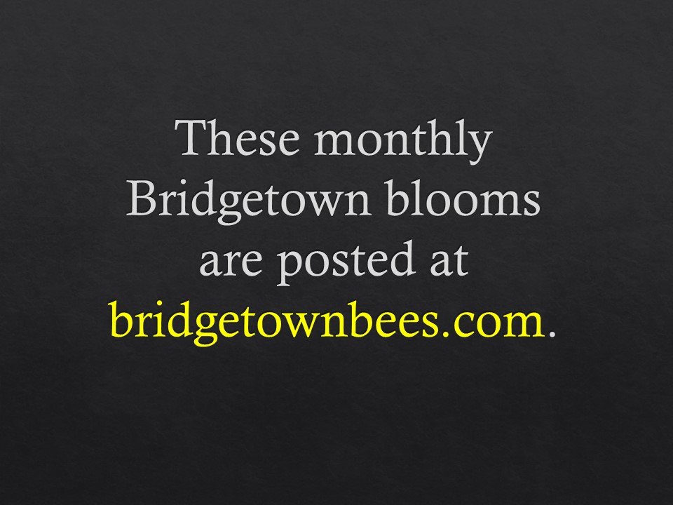 Slide146.JPG
