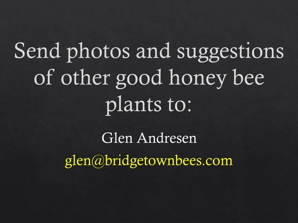 Slide147.JPG