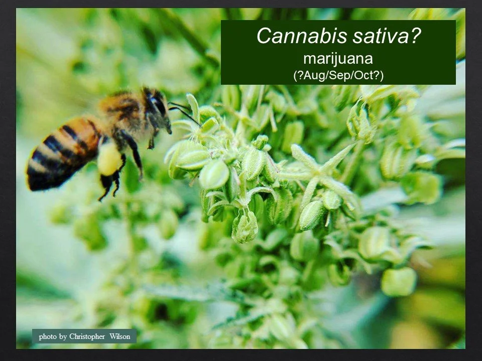 Slide13.JPG
