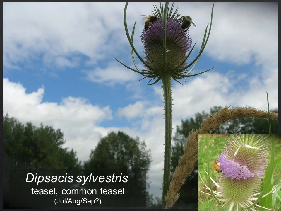 Slide14.JPG