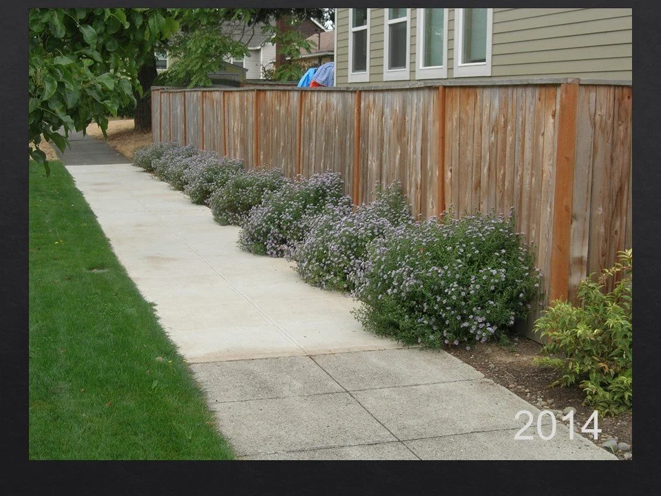 Slide42.JPG