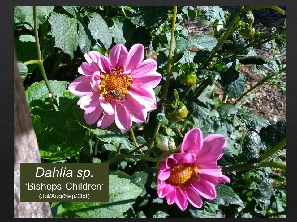Slide53.JPG