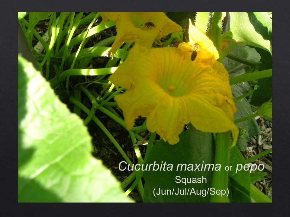 Slide72.JPG