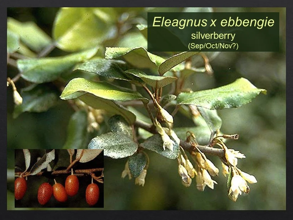 Slide74.JPG