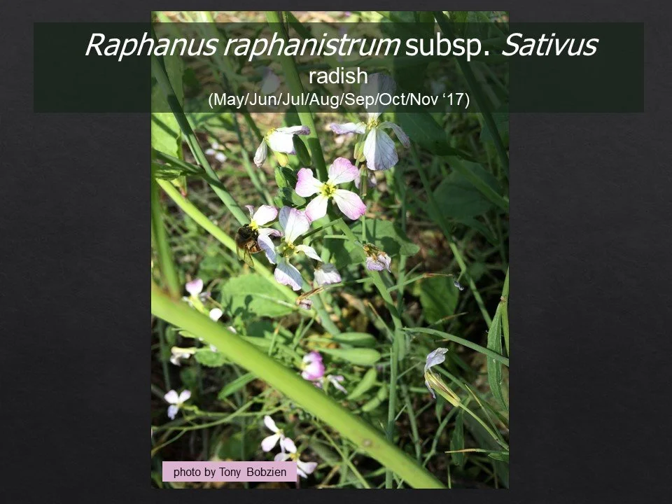 Slide76.JPG