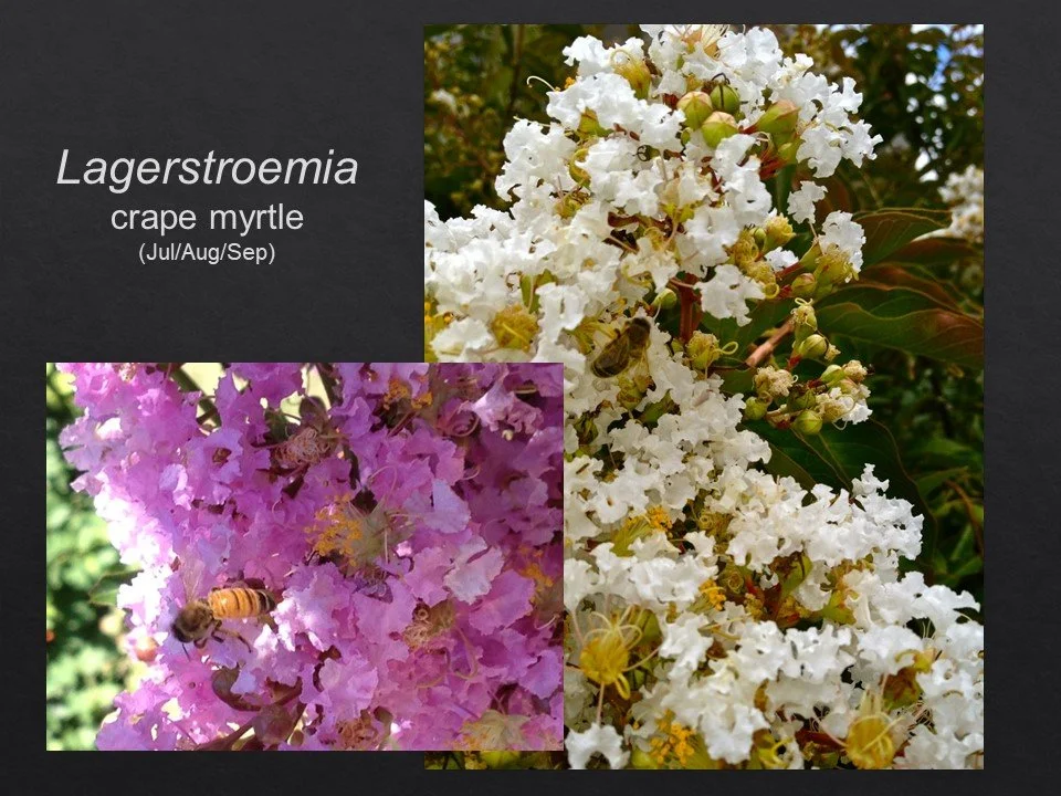 Slide79.JPG