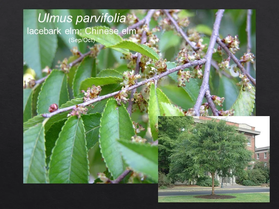 Slide89.JPG