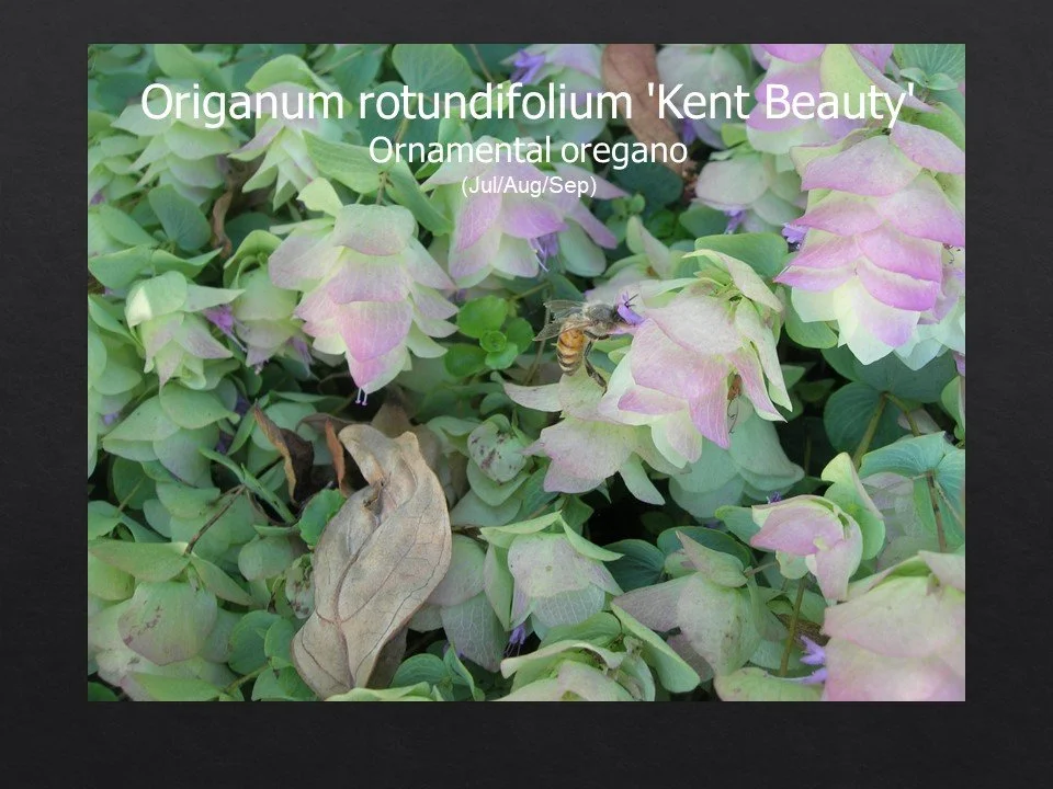 Slide93.JPG