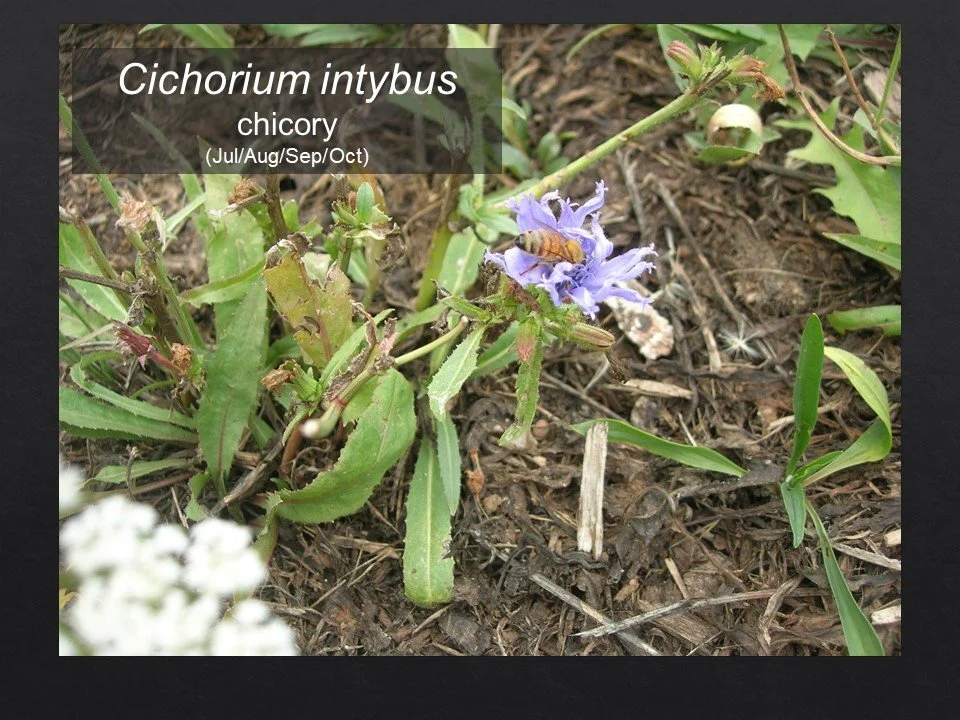 Slide106.JPG