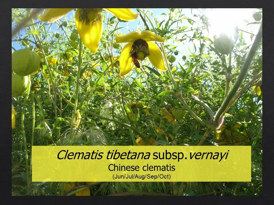 Slide55.JPG