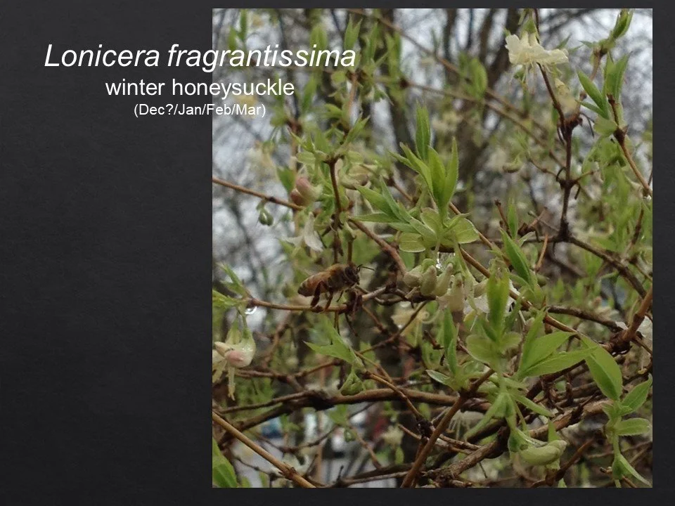 Slide58.JPG