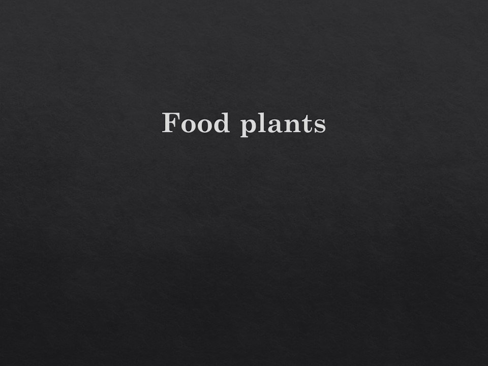 Slide59.JPG