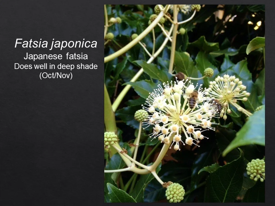 Slide68.JPG