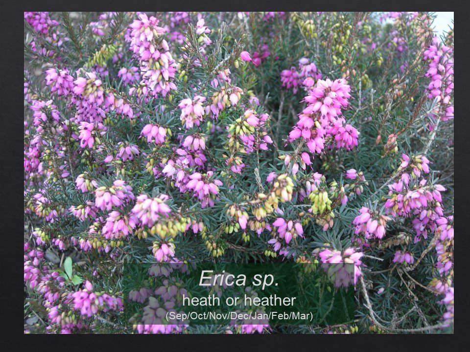 Slide73.JPG