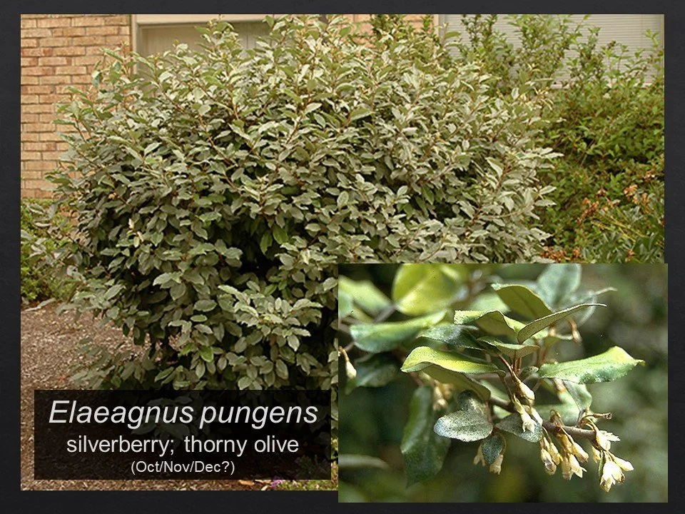 Slide74.JPG
