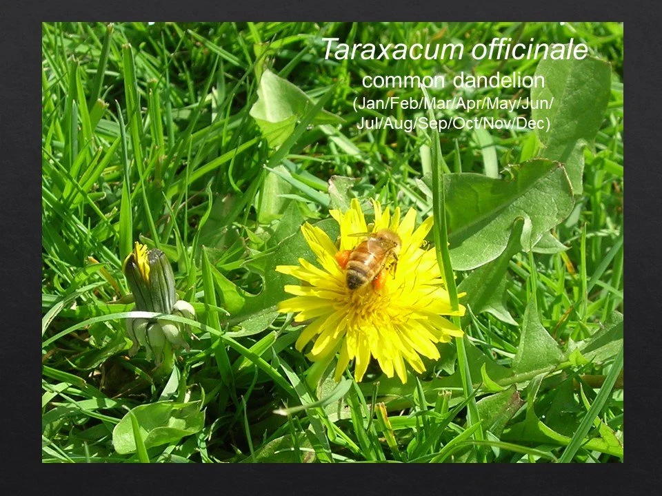 Slide94.JPG