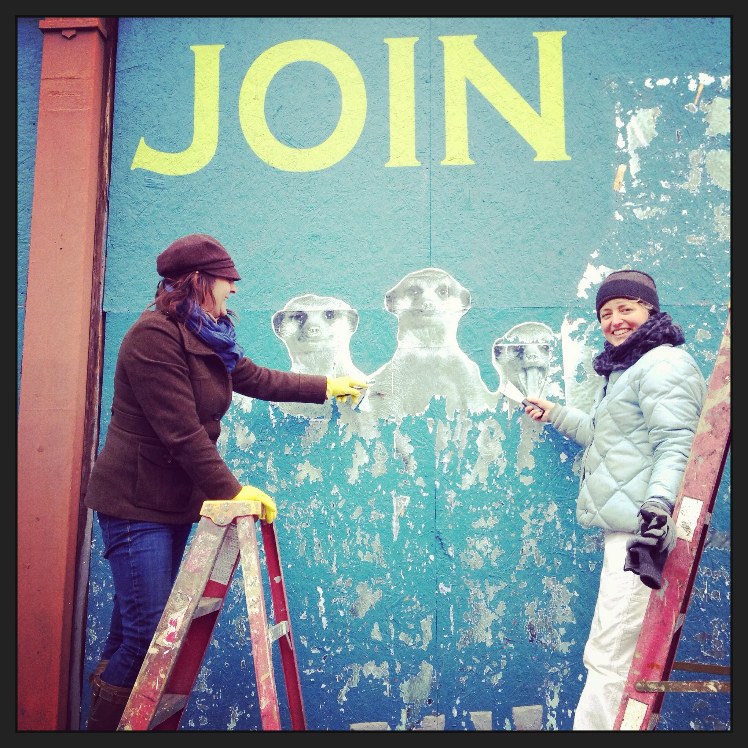Kristin and I removing the wheat pasted meerkats, uninstalling Humans, Join Us! 