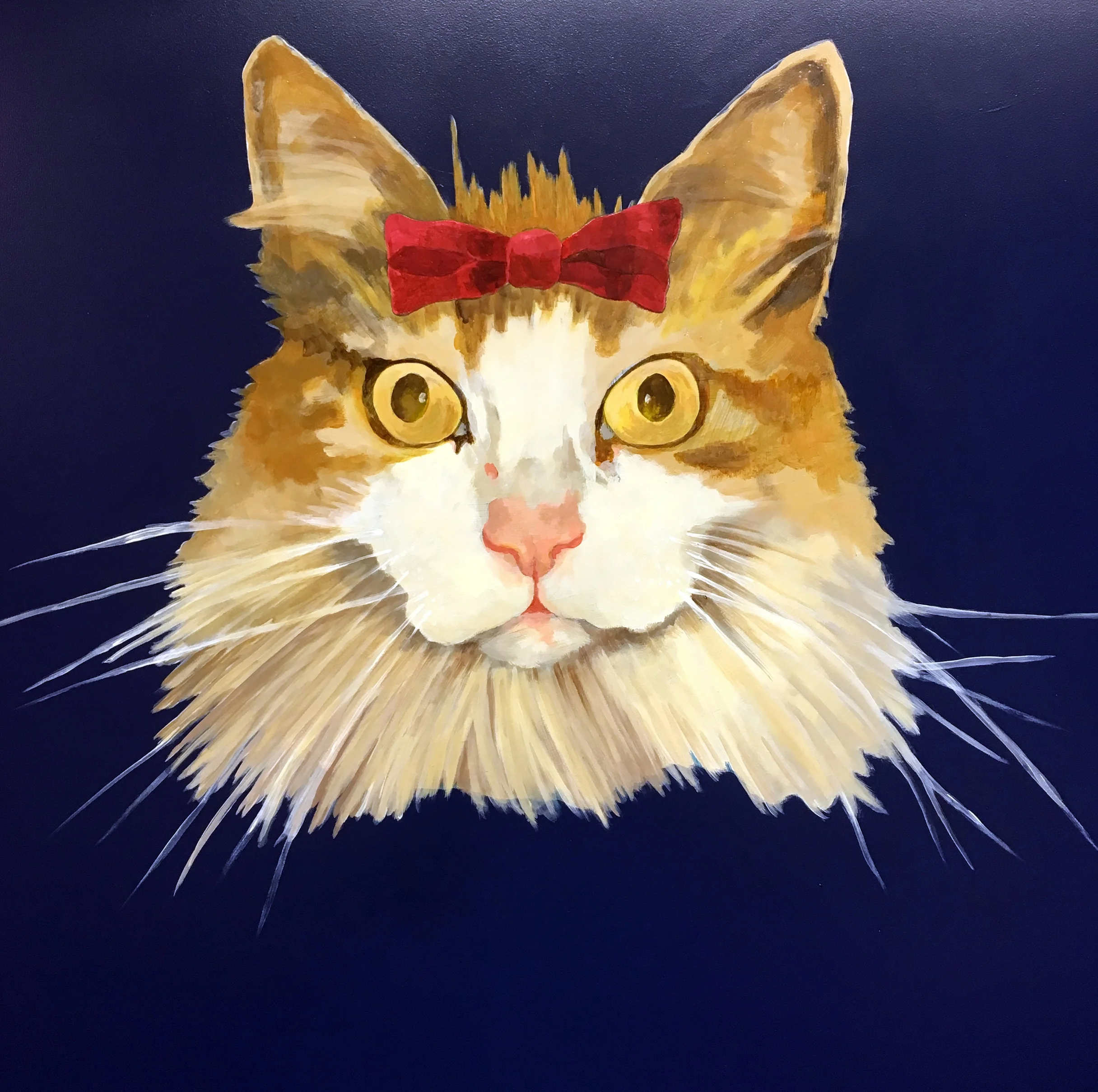 Cat portrait.