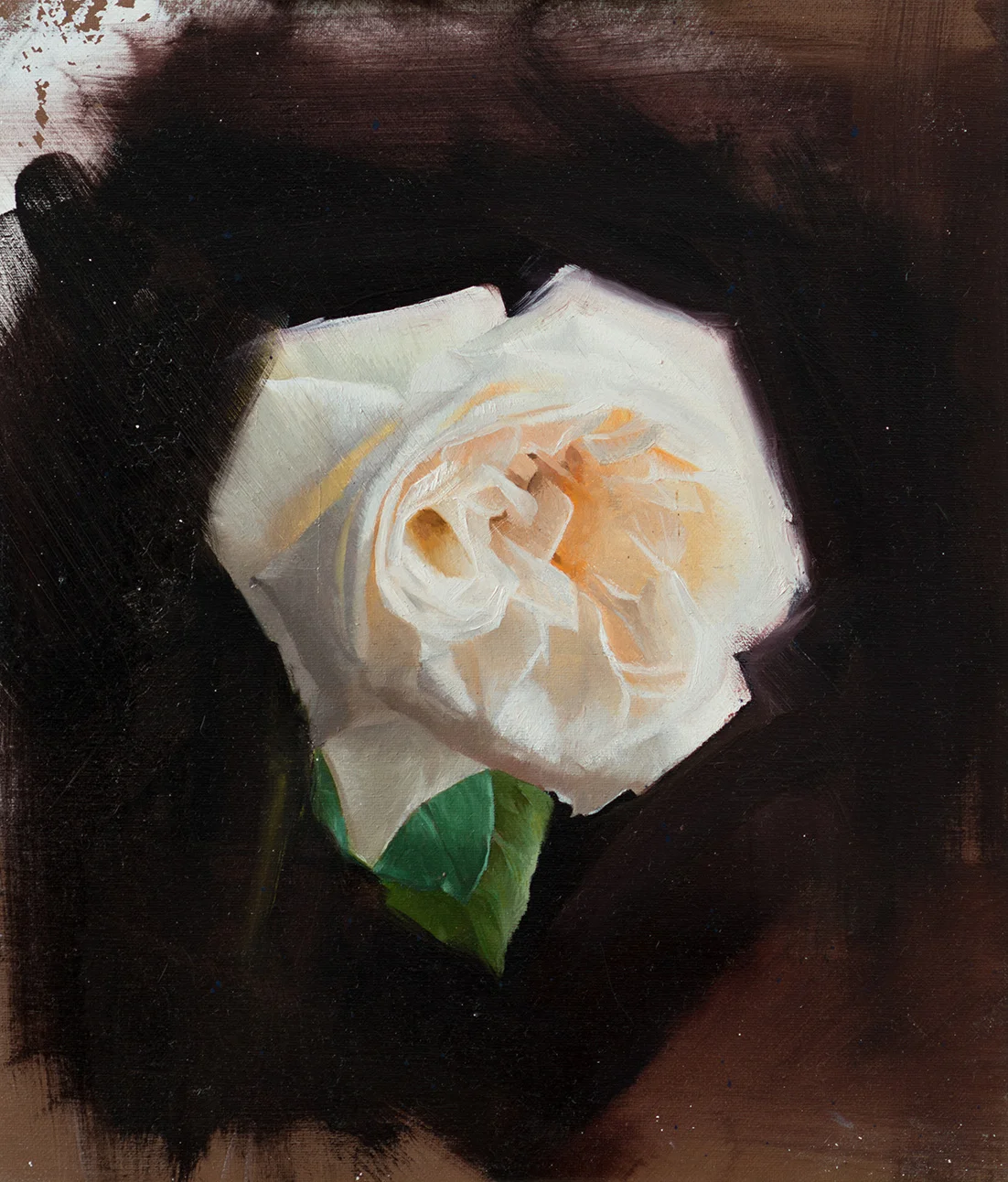 Photograph-1-24.jpg
