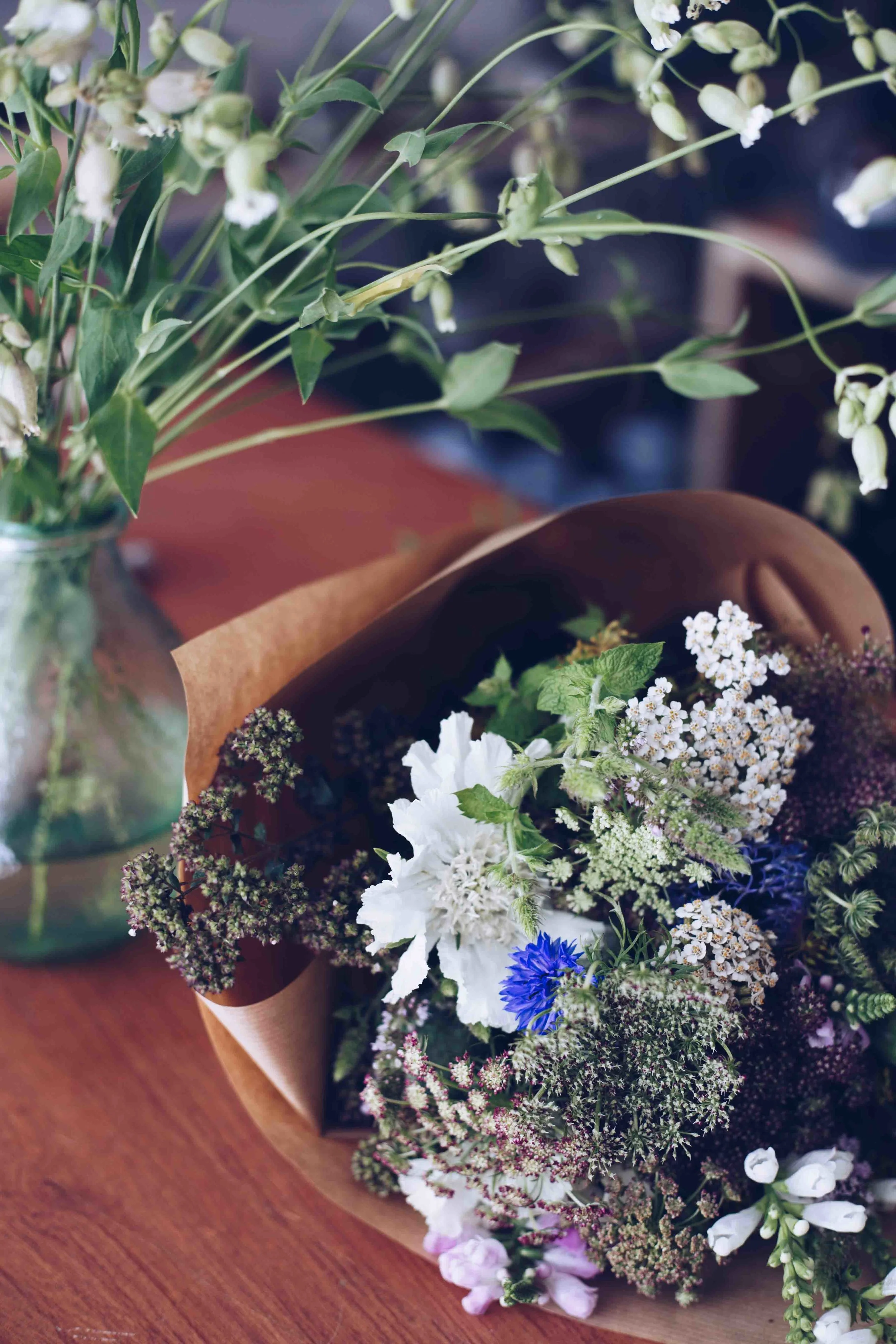 *Botany wild flowers59.jpg