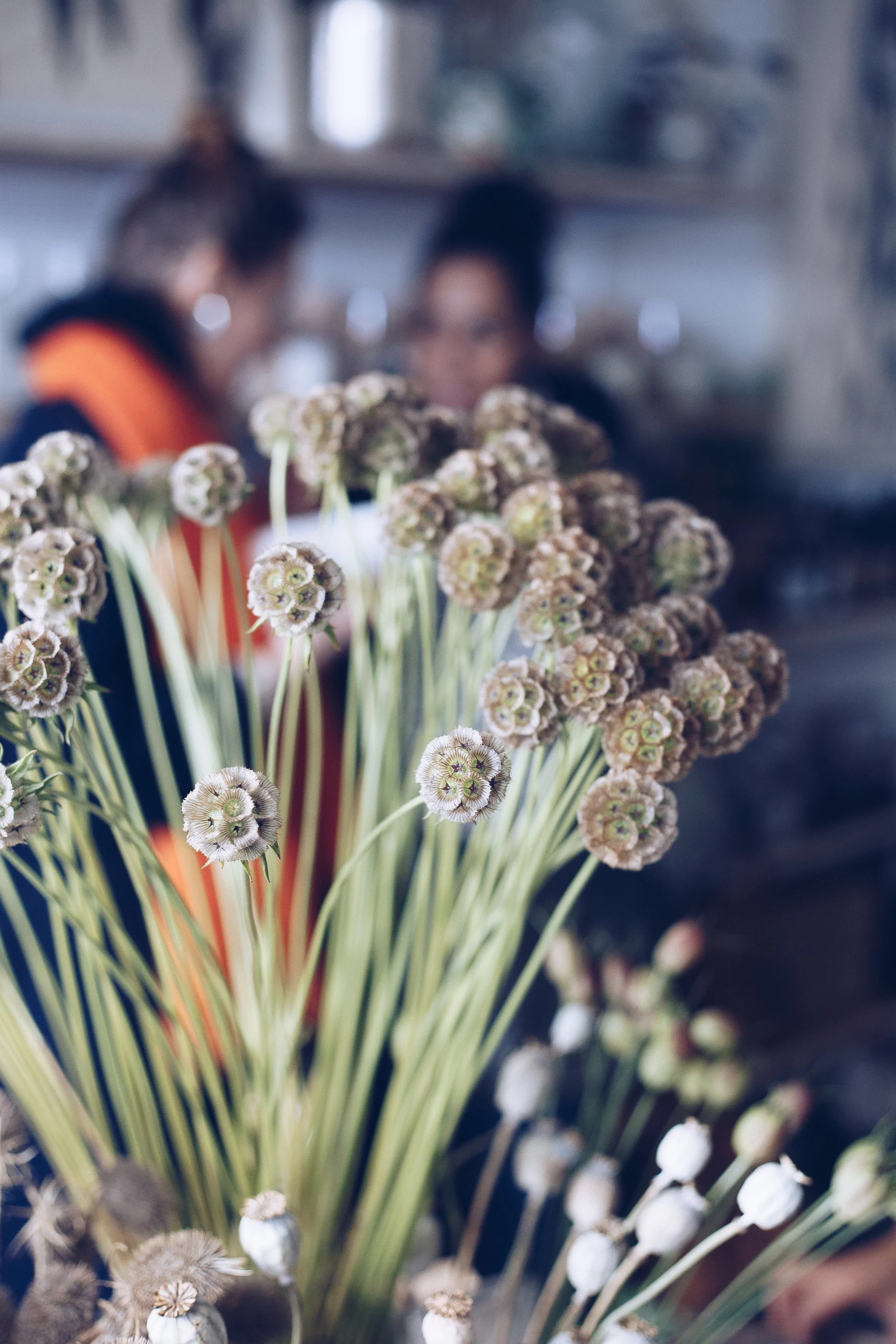 Botany_LA Event32.jpg