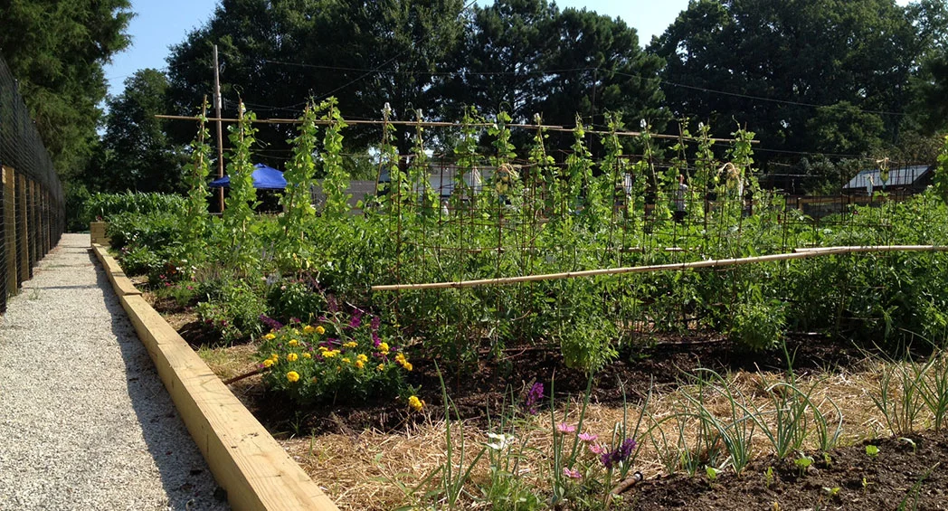 Lanier Farm Park Landscape Architecture & Design Urban Planning