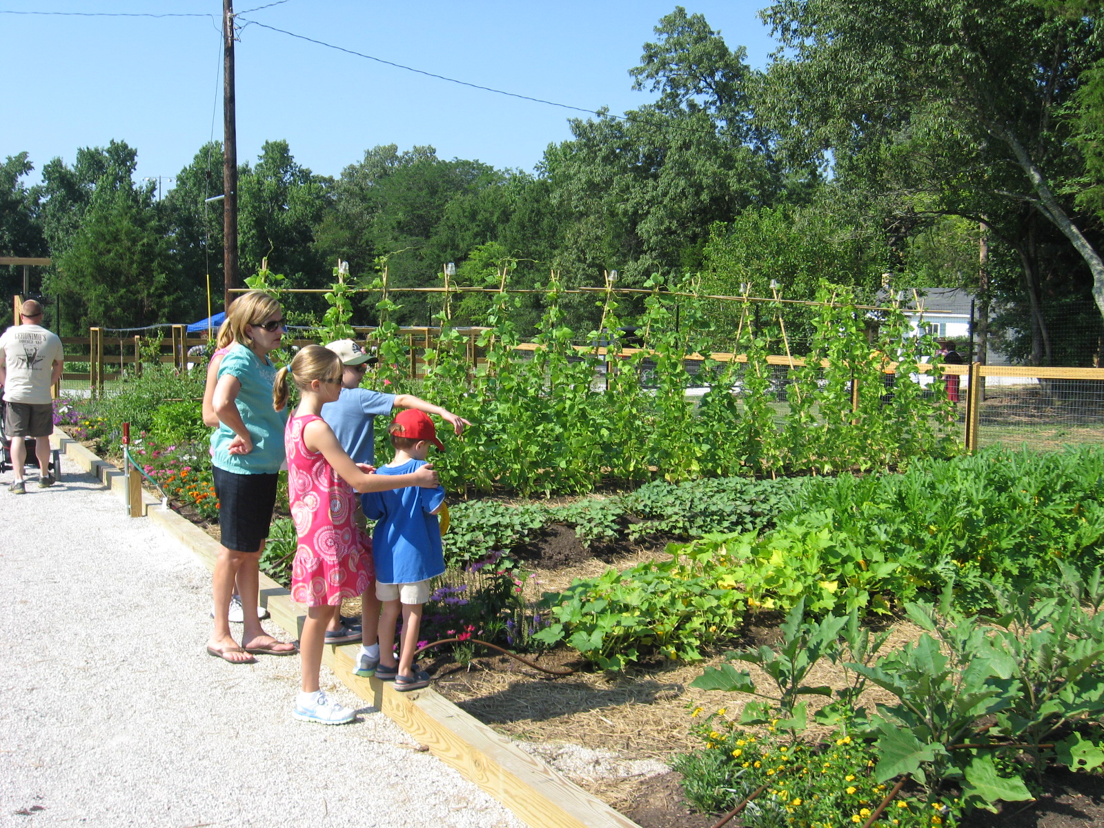 Lanier Farm Park Landscape Architecture & Design Urban Planning