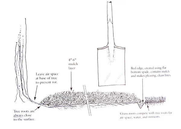 SpringCleanUpDirectionsW.jpg