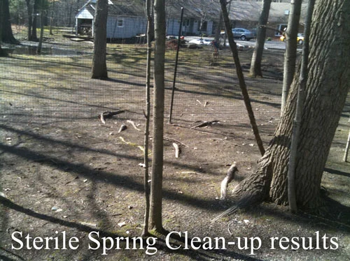 SterileSpringCleanup.jpg