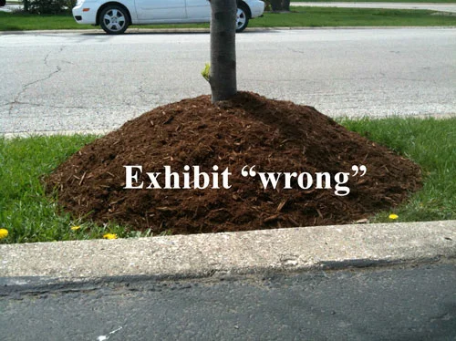 MotherNaturesMomWrong.jpg