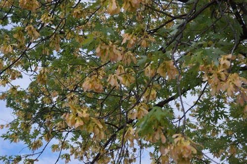 MotherNaturesMoment02.jpg