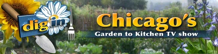 Dig-In-Chicago-Header-Banner-flattened1.jpg