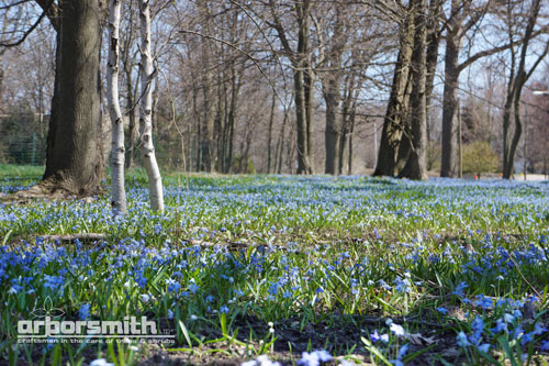 Photos by Lesley Bruce Smith: North Shore Landscape, Spring