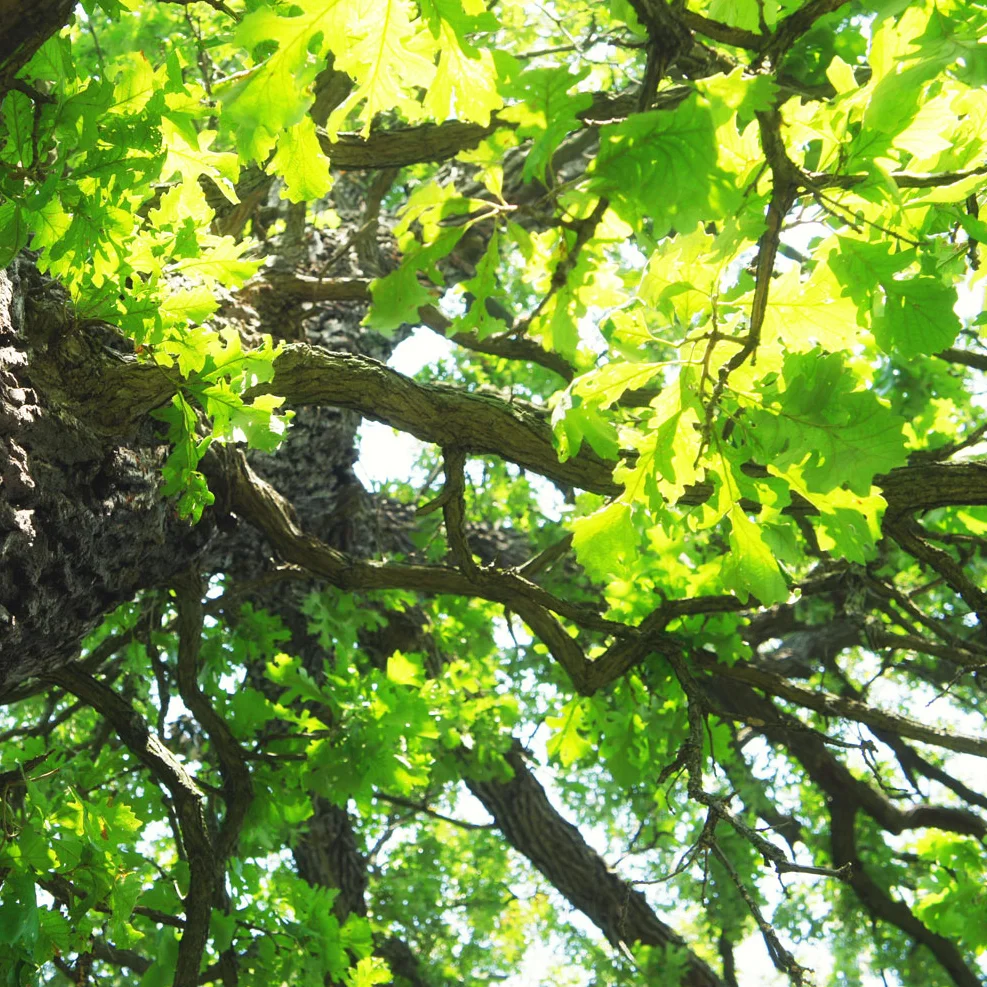 The Sun is Finally Shining