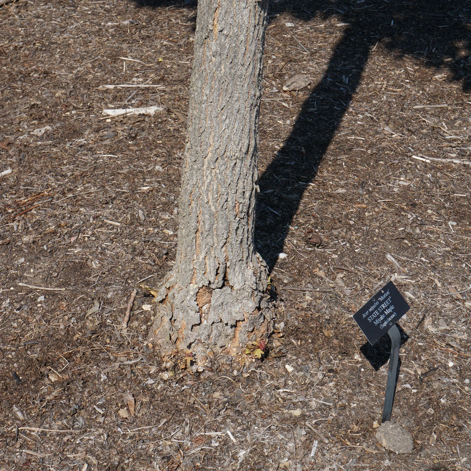 Diversify, Diversify, Diversify