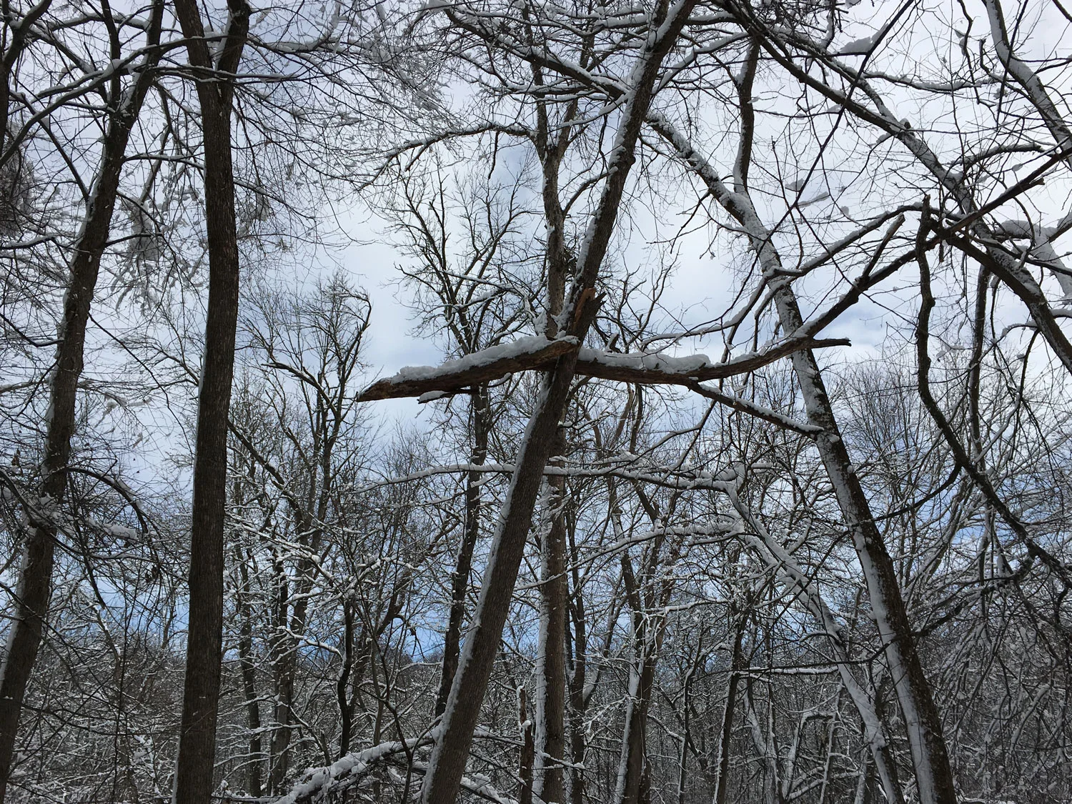 A Word About Winter Storm Damage