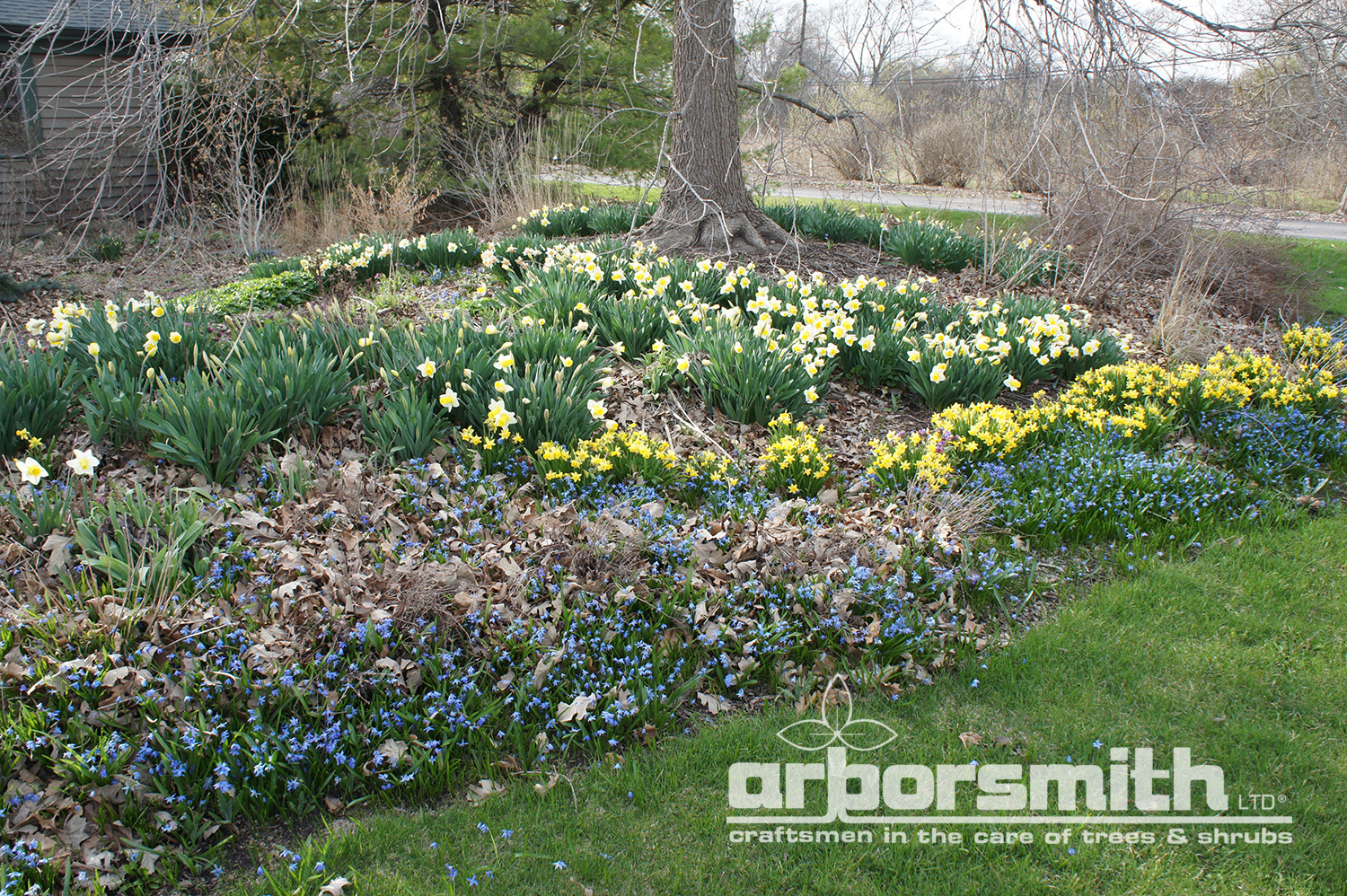 Photos by Lesley Bruce Smith