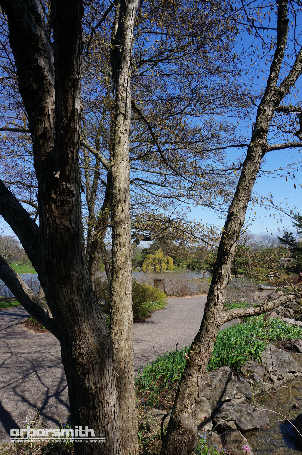 Photos by Lesley Bruce Smith