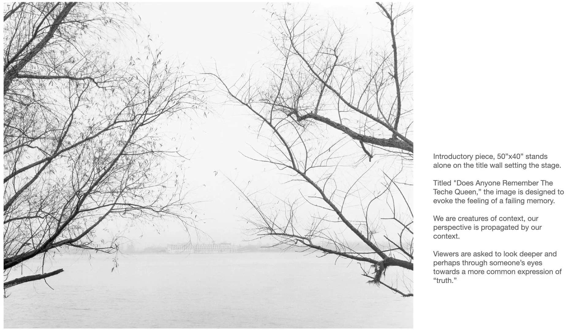 Primary 2023 -TASTE and SEE.006.jpeg